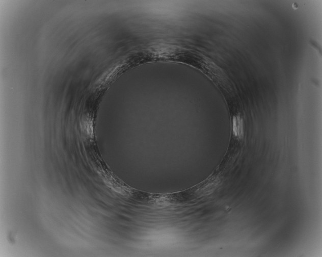 X0000102231155200808081341