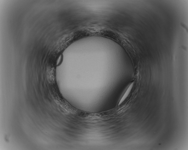 X0000102231156200808081341