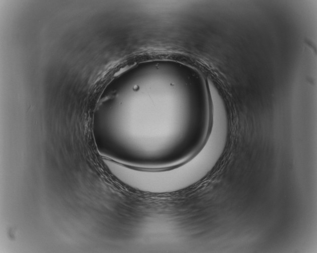 X0000102231157200808081341