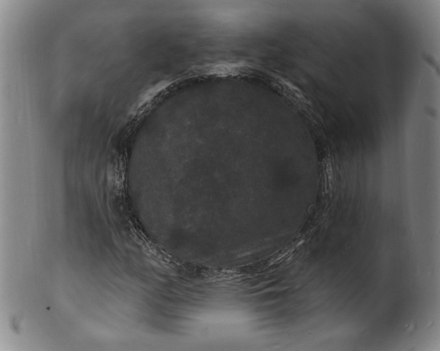 X0000102231158200808081341