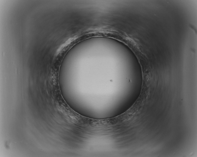 X0000102231159200808081341