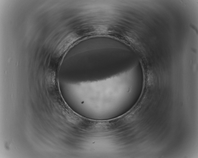 X0000102231161200808081341
