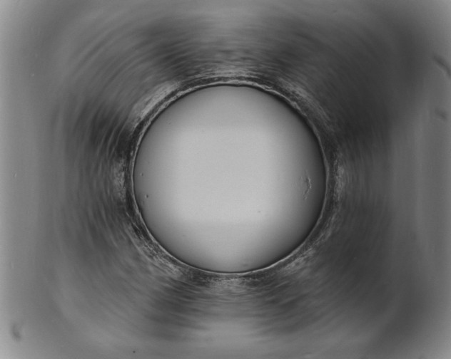 X0000102231162200808081341