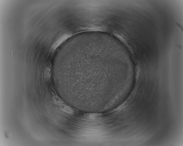 X0000102231163200808081341