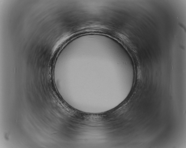 X0000102231164200808081341