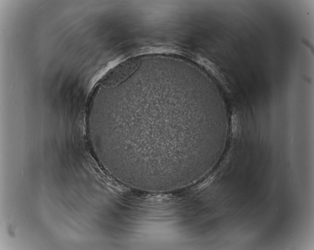X0000102231165200808081341