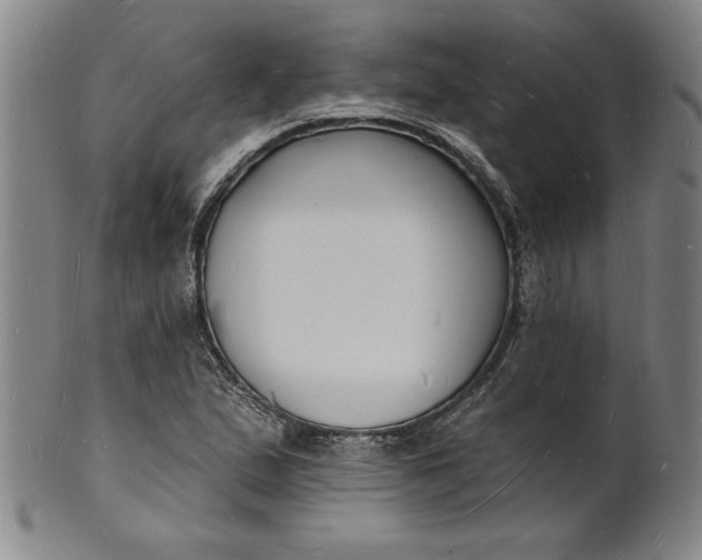 X0000102231167200808081340