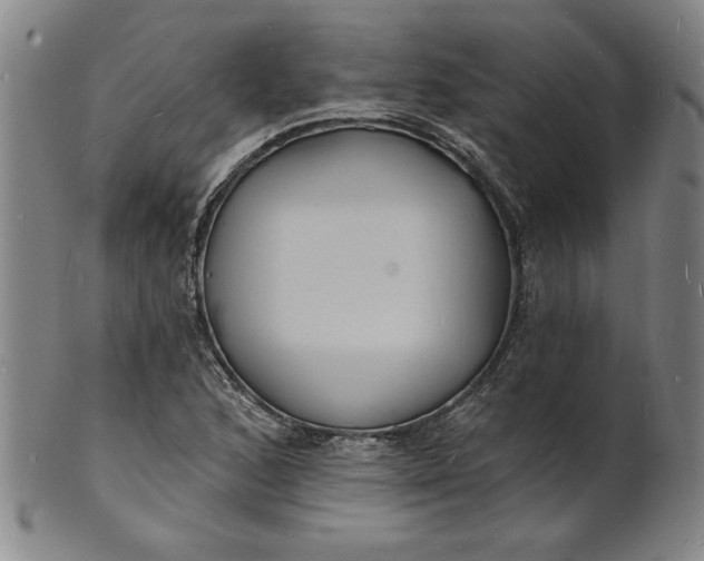 X0000102231168200808081340