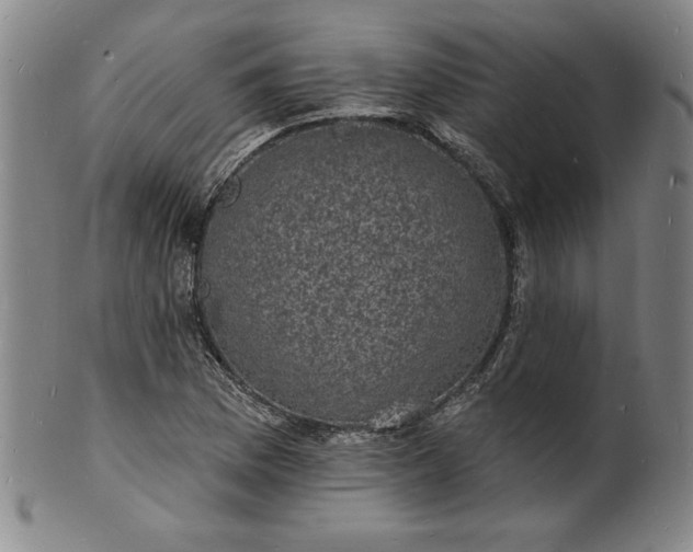 X0000102231169200808081340