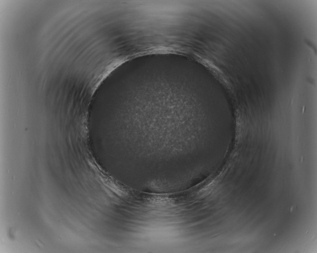 X0000102231170200808081340