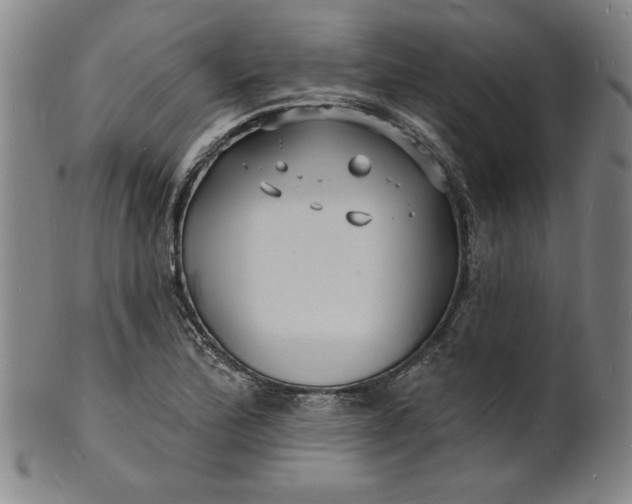 X0000102231172200808081340