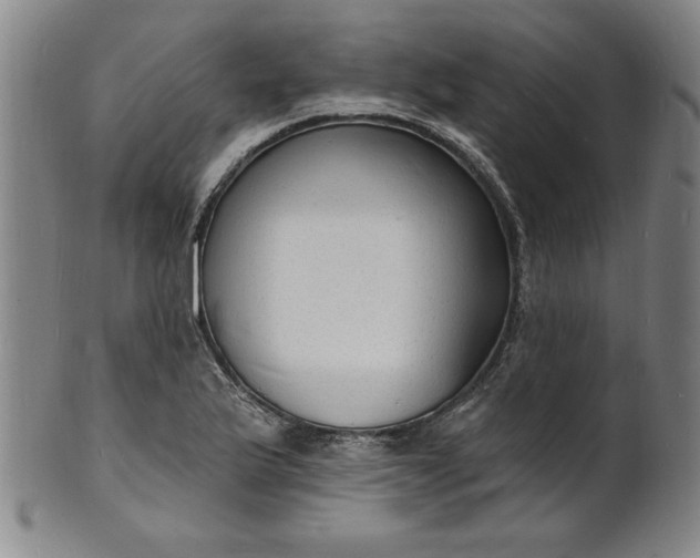 X0000102231175200808081340