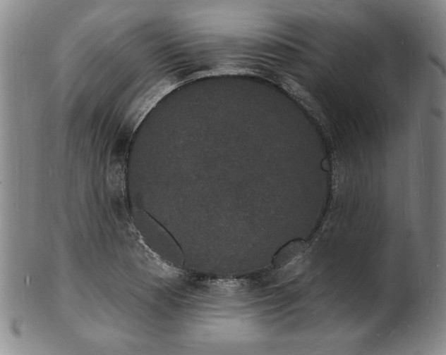 X0000102231177200808081340