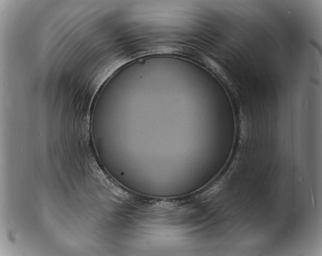 X0000102231178200808081340