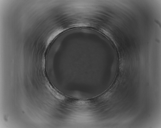 X0000102231179200808081340