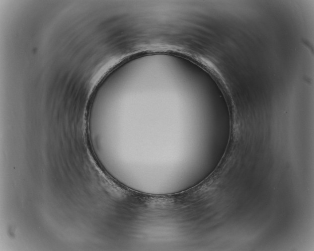 X0000102231183200808081340