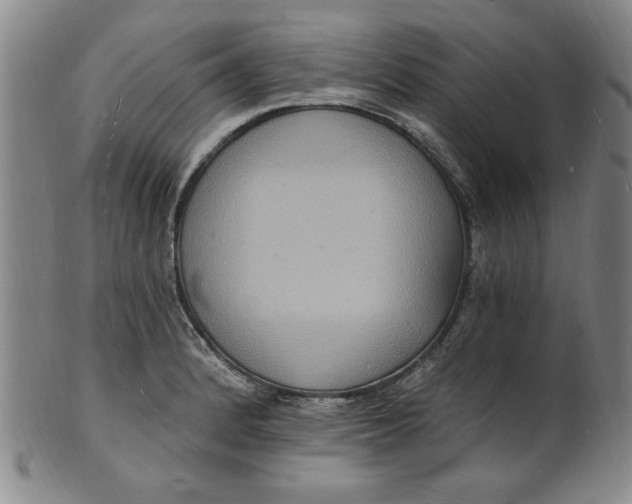 X0000102231184200808081340
