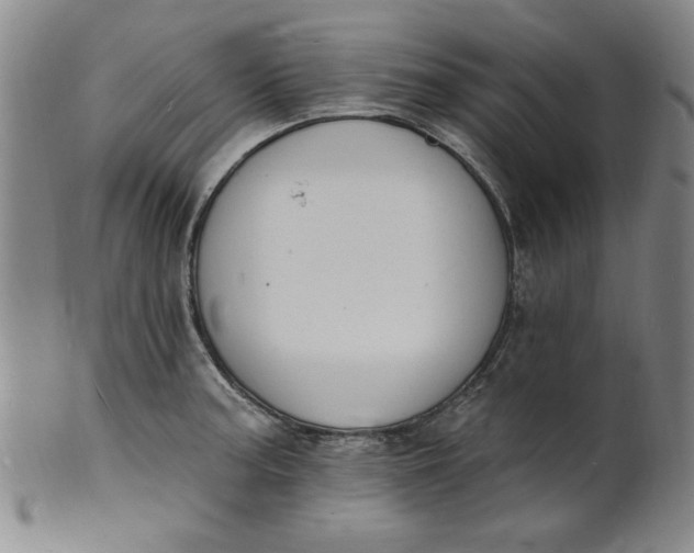X0000102231187200808081340