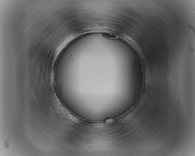X0000102231188200808081340