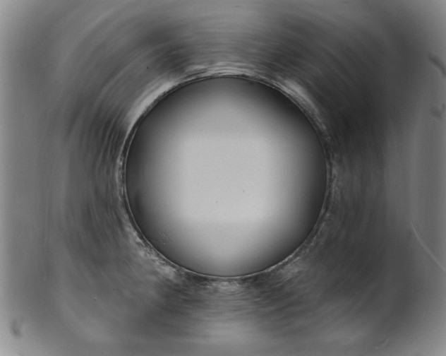 X0000102231190200808081340