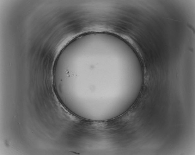 X0000102231191200808081340