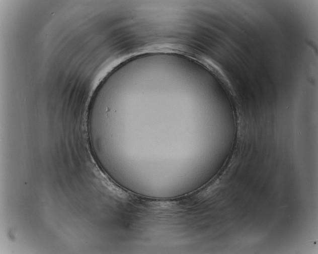 X0000102231192200808081340