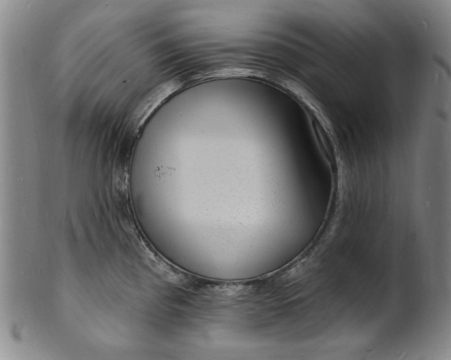 X0000102231193200808081340