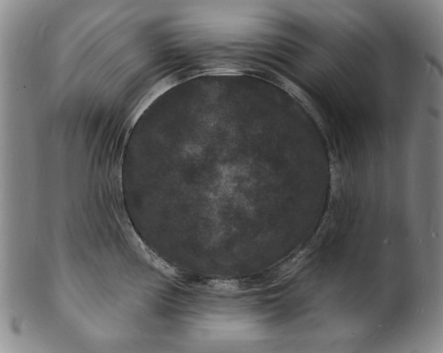 X0000102231194200808081340