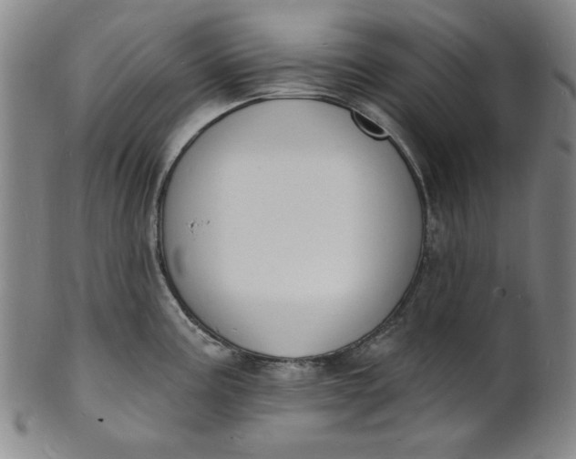 X0000102231195200808081340