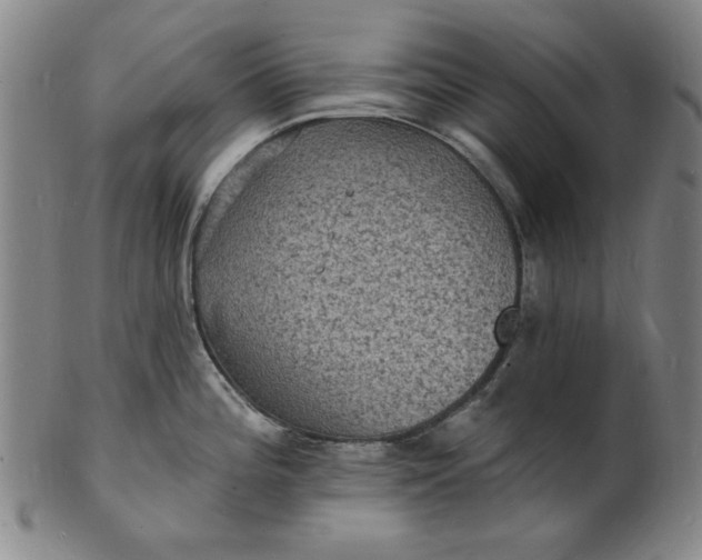 X0000102231196200808081340