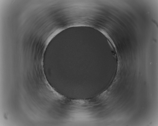 X0000102231197200808081340