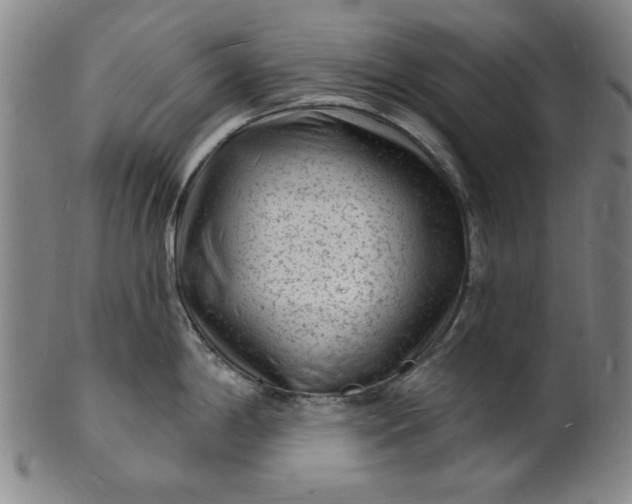 X0000102231198200808081340
