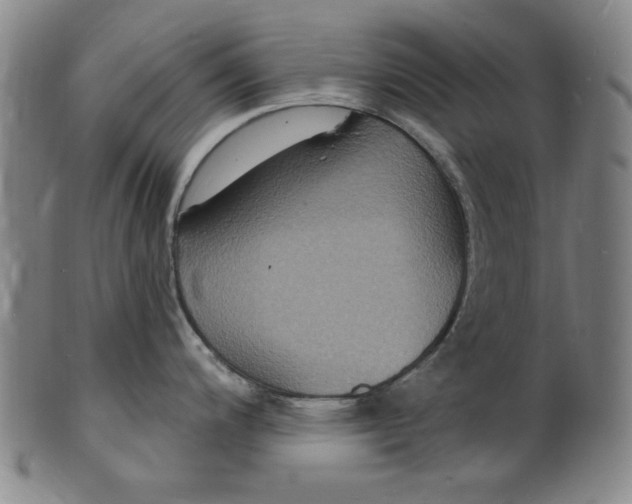 X0000102231200200808081340