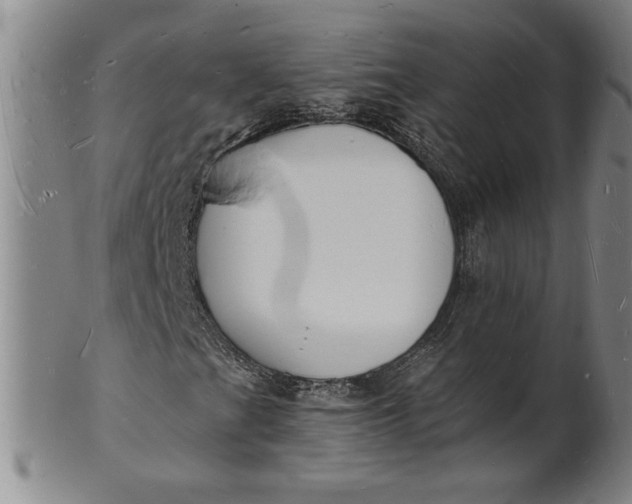 X0000102231201200808081339