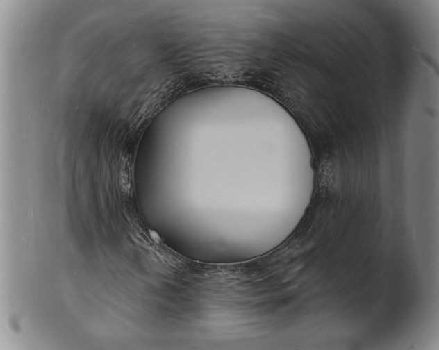 X0000102231202200808081339
