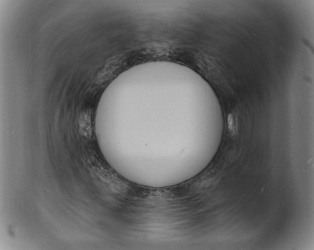 X0000102231203200808081339
