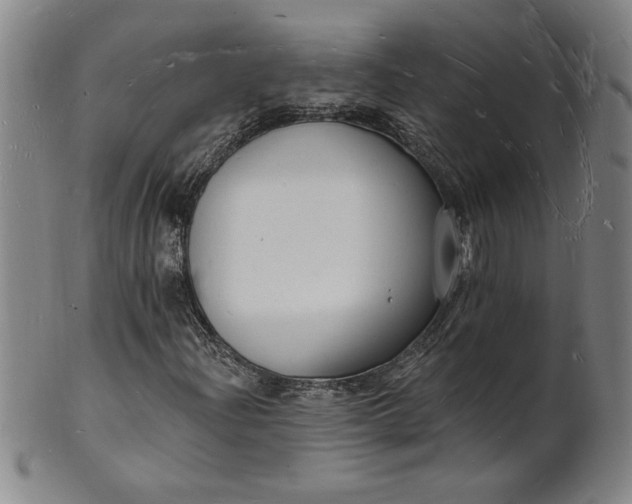 X0000102231204200808081339