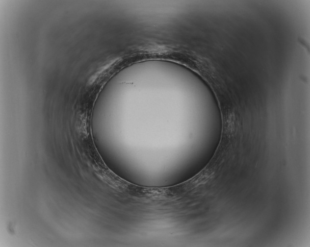 X0000102231205200808081339