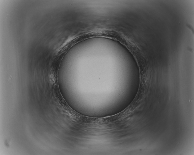 X0000102231206200808081339