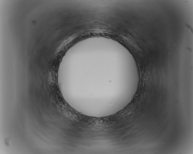 X0000102231207200808081339
