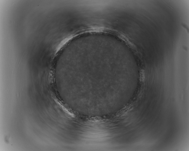 X0000102231208200808081339