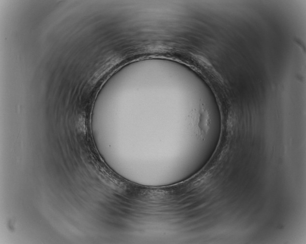 X0000102231209200808081339