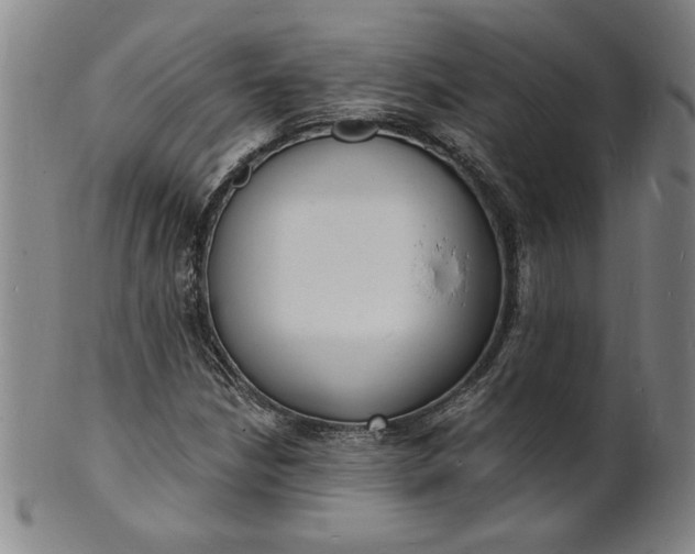 X0000102231210200808081339
