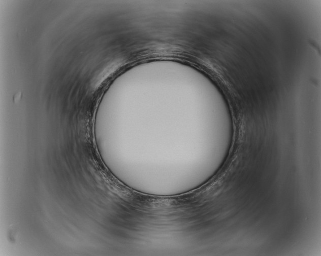 X0000102231211200808081339