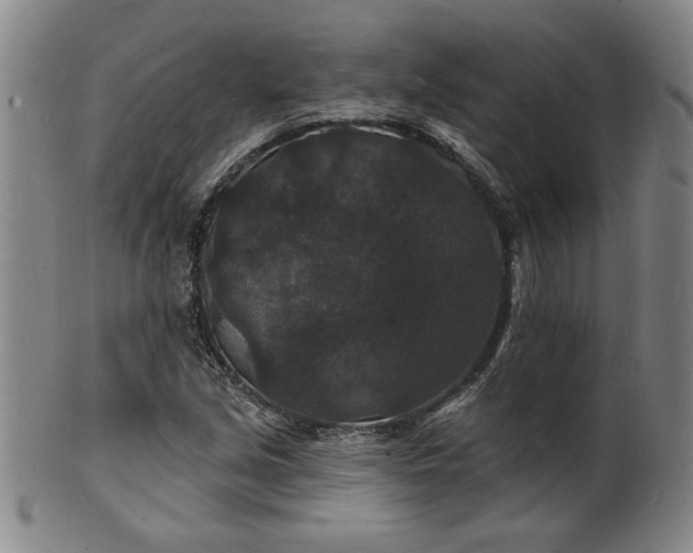 X0000102231213200808081340