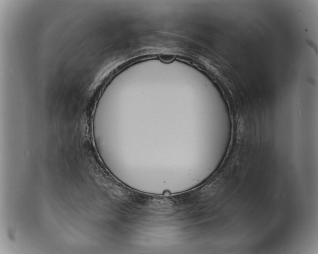 X0000102231215200808081340