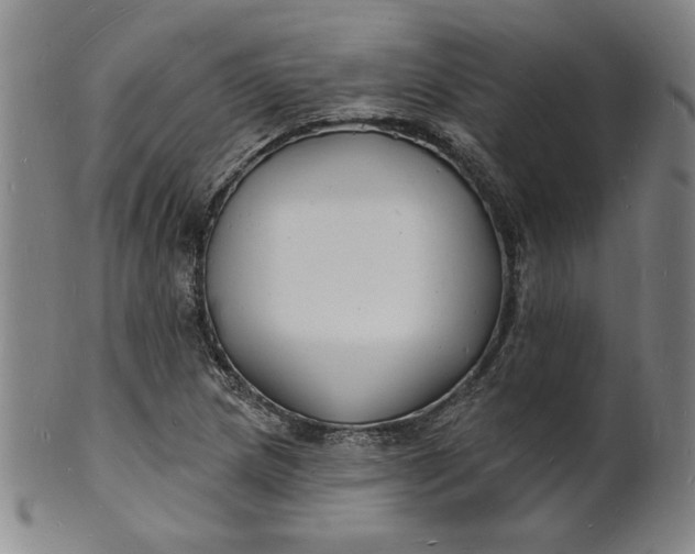 X0000102231217200808081340