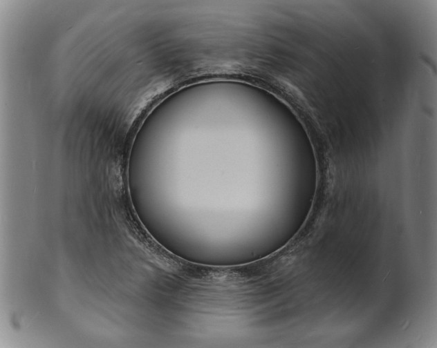 X0000102231218200808081340