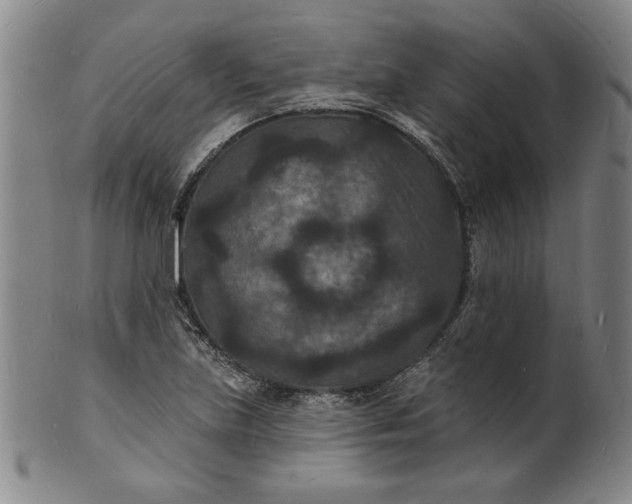 X0000102231219200808081340
