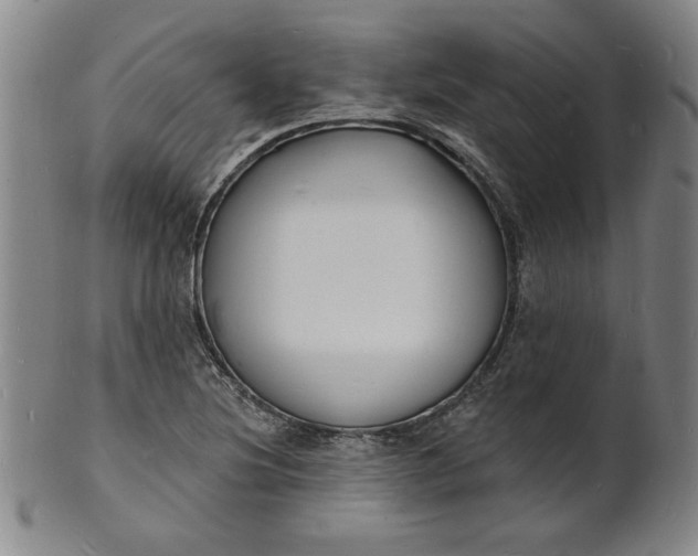 X0000102231220200808081340